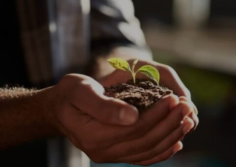 Medicines with natural active ingredients image