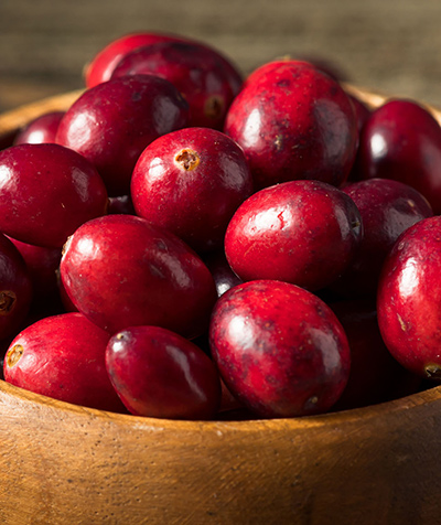 American cranberry (Vaccinium macrocarpon)