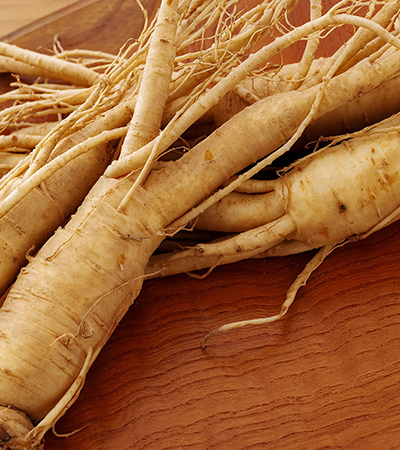 Panax ginseng (G115®)