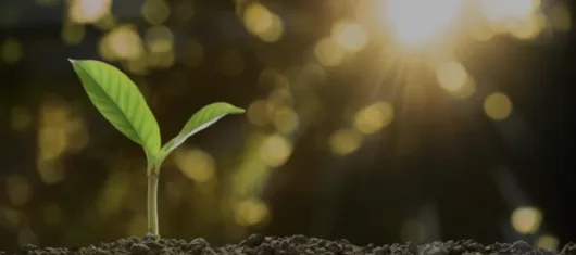 Natural health products : The science behind the right dose